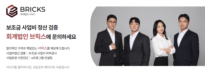 보조금 사업비 정산보고서 검증 회계감사 - 회계법인브릭스